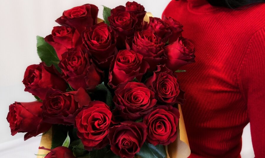 Ruže Red RHODOS - Donáška kvetov