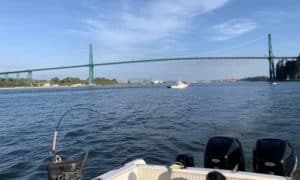 Vancouver salmon fishing report September 2020