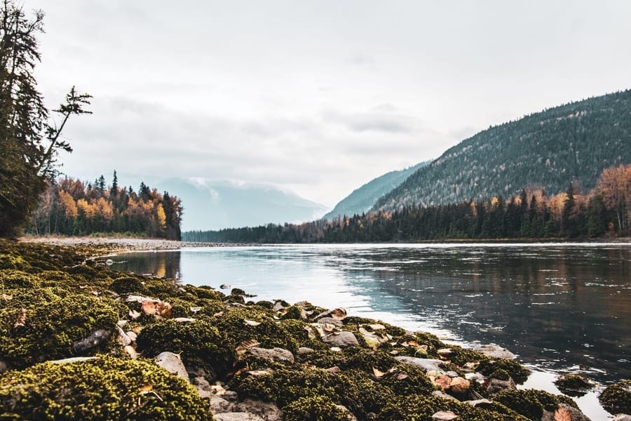 fly fishing photography