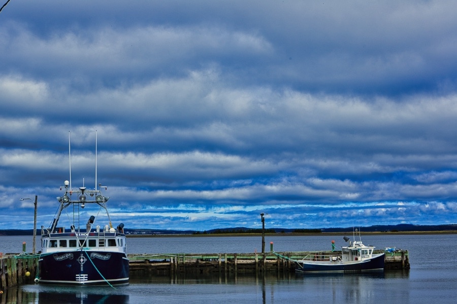 View over Gull Island