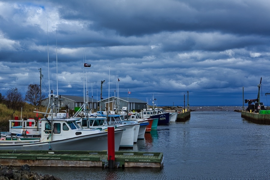Harbor in Toney River