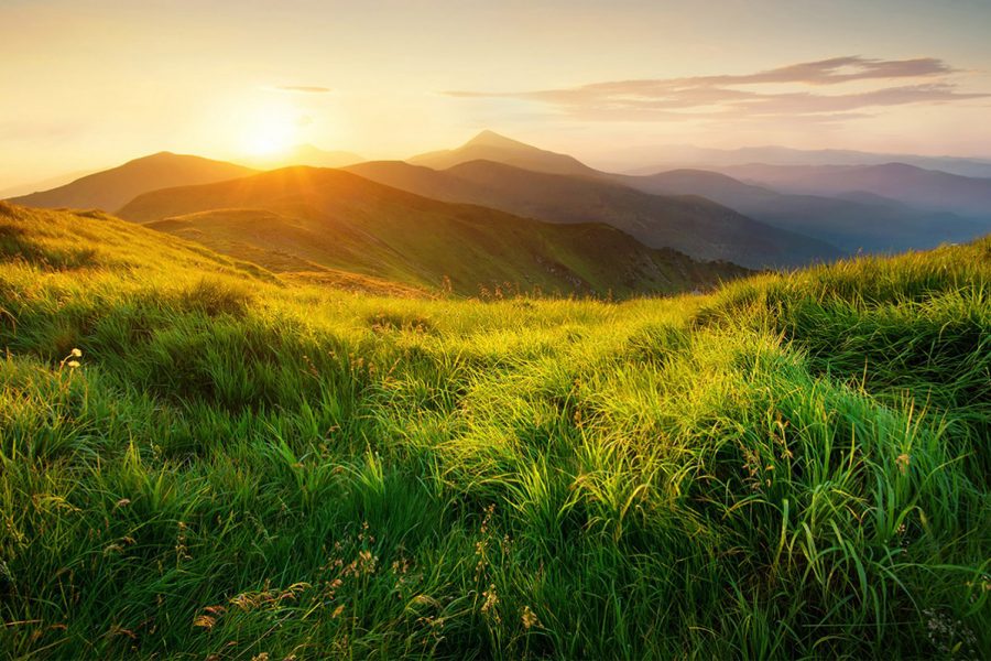 gallery-22333-900x600