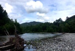 Vancouver fly fishing Cheakamus River