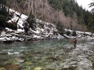 vancouver fishing report february