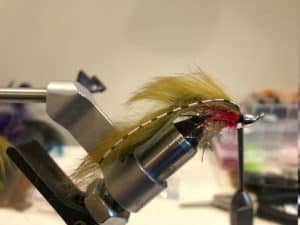 bull trout fly