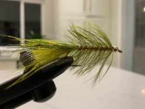 bull trout fly