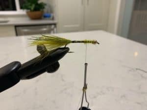 BC Bull Trout Fly: The 'Mister March' - Favourite Fly for Bull Trout Fishing  