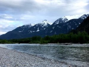 Vancouver fishing report May 2020