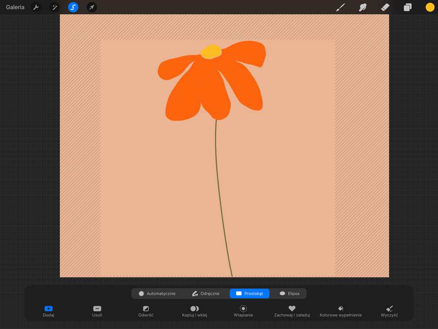 Procreate narzędzie zaznaczania
