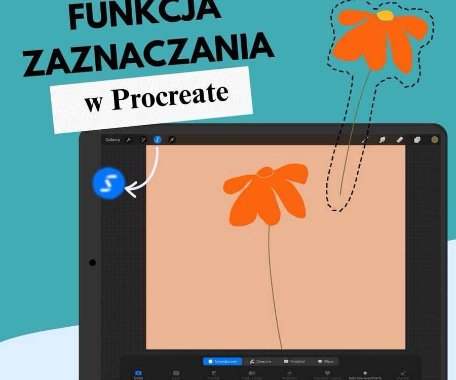 funkcja zaznaczania w Procreate