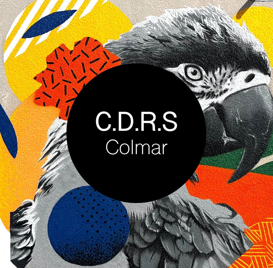 CDRS de Colmar : 11 fresques en centre de soins