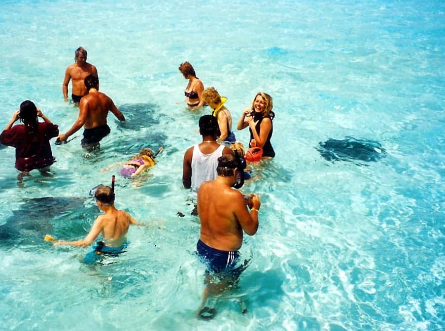 cayman islands, stingray city, 
grand cayman, 5 things to do in the cayman islands