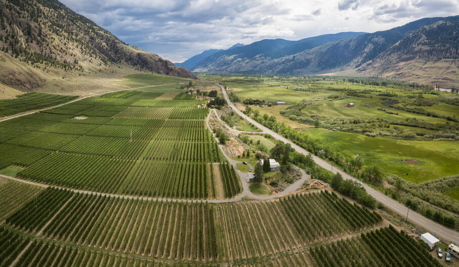 Chemical fertilizer alternative unearthed by startup