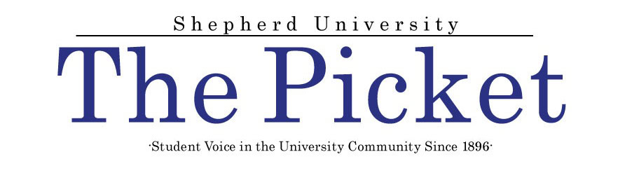 Editorial: Saving the chimney swifts of Sara Cree