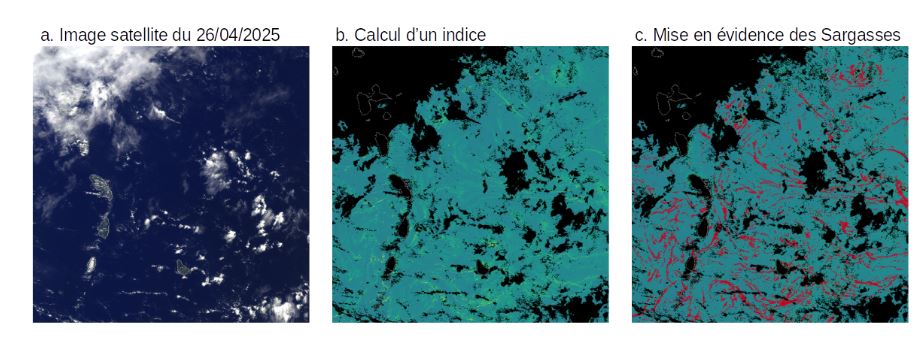 Fig3 : Détection des Sargasses sur image satellite au 26 avril 2025