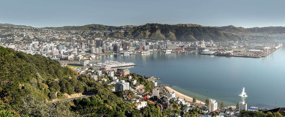 Wellington City and Harbour