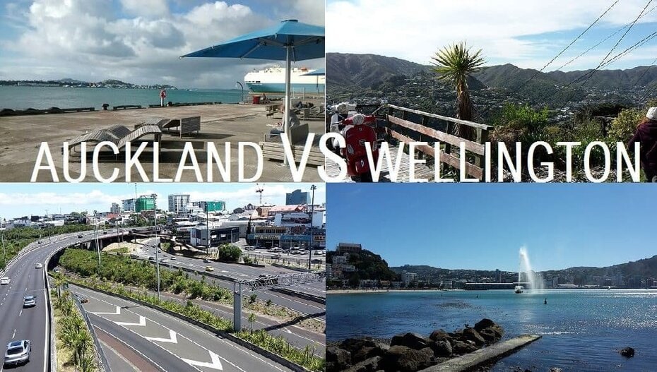 auckland-vs-wellington