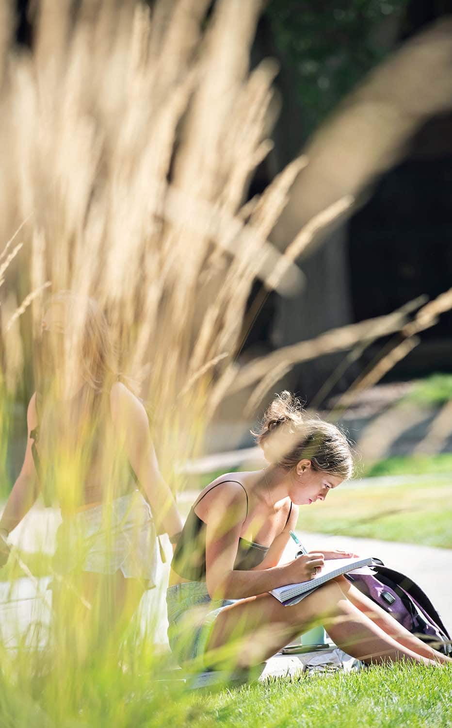 Student reading a book