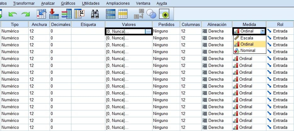 Copiar formatos de valores y medidas de las variables en SPSS