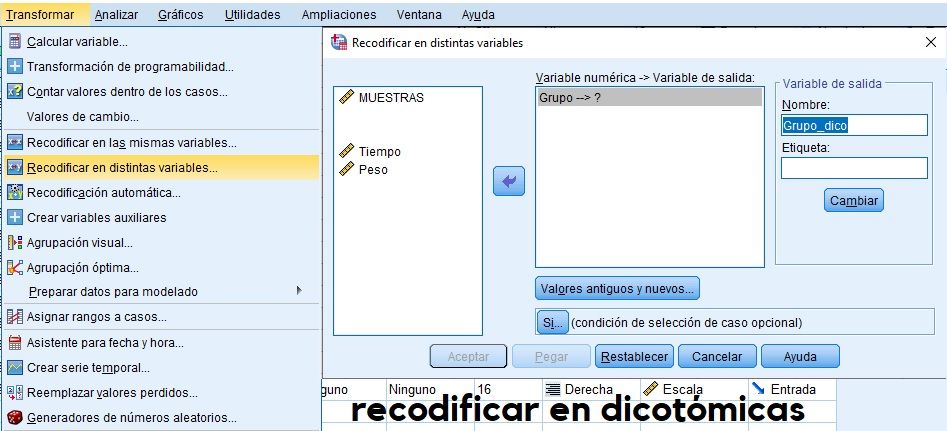 Recodificar en dicotómica
