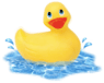 rubber duck