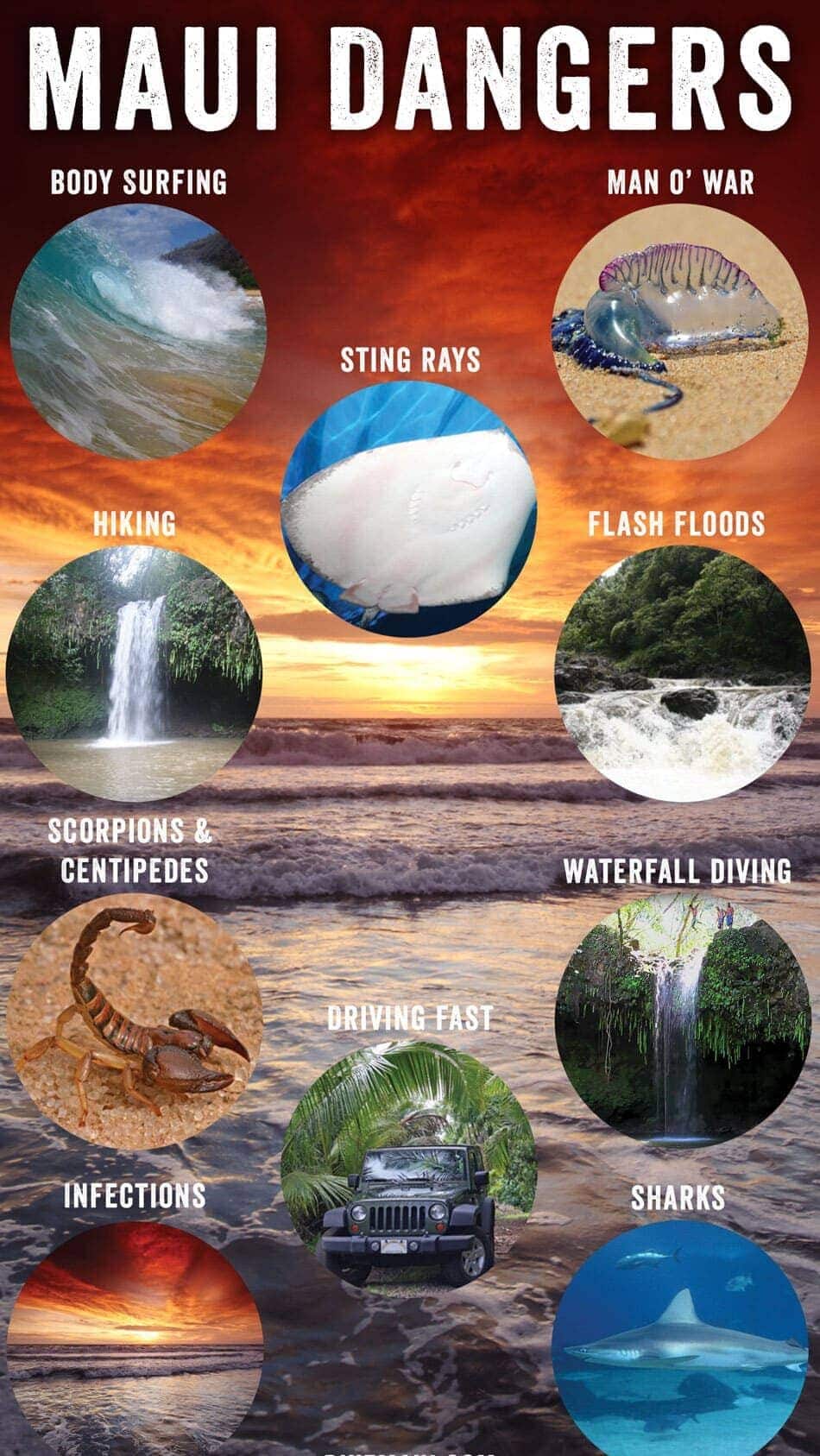 Maui Dangers