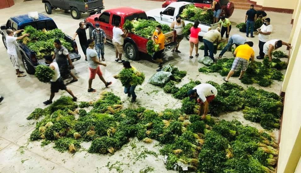 Entrega de verduras en Usumatlán