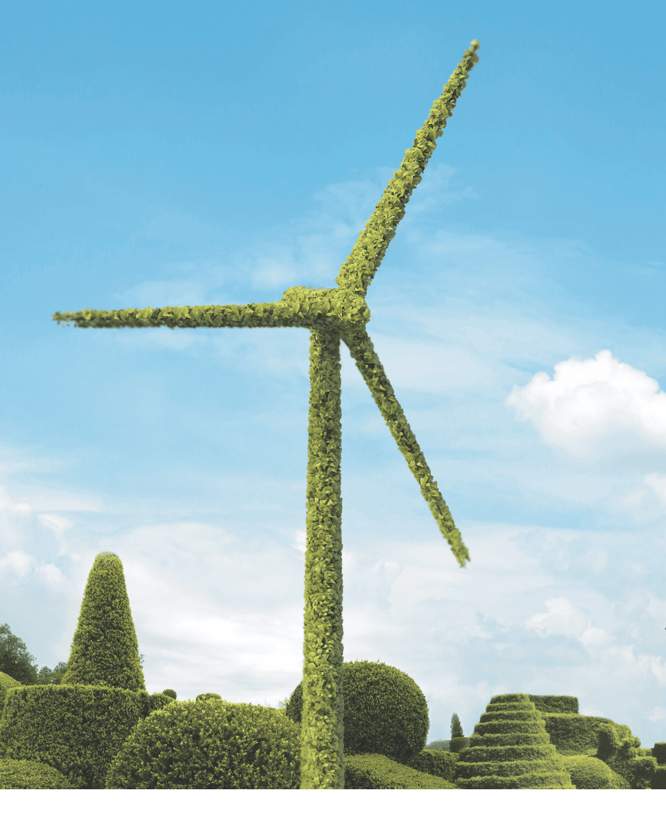 Future 50: The Fastest Growing Sustainable Companies of 2022 | An illustration of a plant-covered wind farm