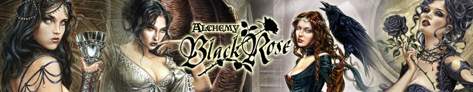 KOOK is a licensing agency for Alchemy England. The top popular Alchemy image bank Black Rose.