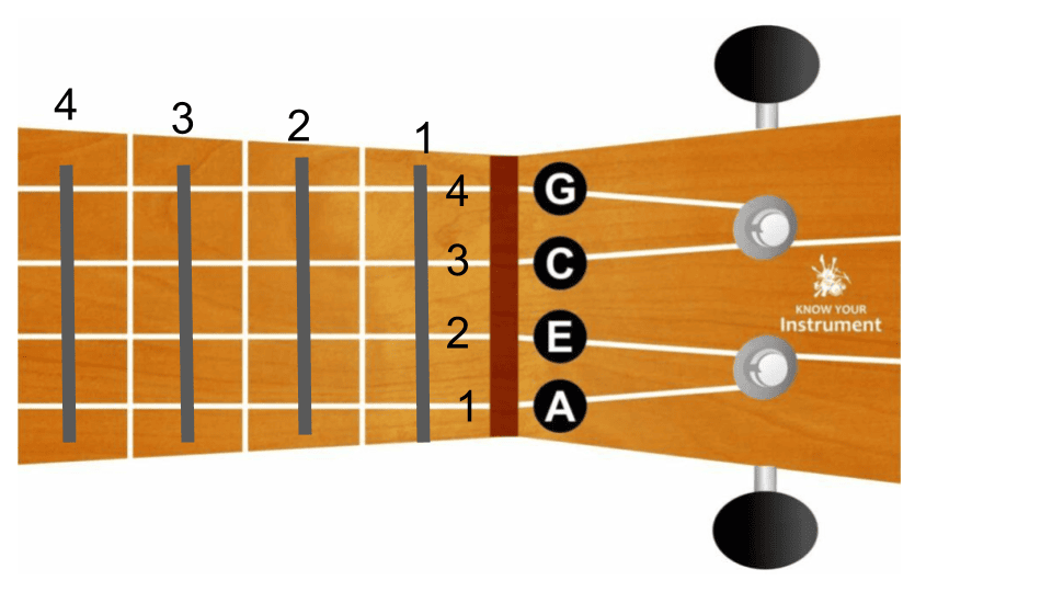 ukulele tel ve perde numaraları 