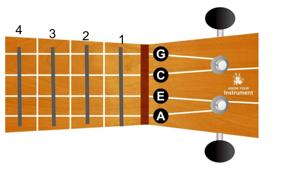 ukulele tekrar ukulele akorları ukulele tellteri