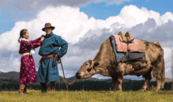 Mongolija putovanje: par u mongolskoj nošnji pored jaka na travnatoj visoravni