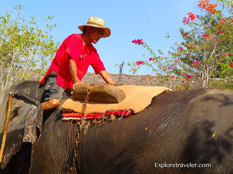 Bangkok Thailand Reise- und Abenteuerführer 28 Thailands prächtige Elefanten
