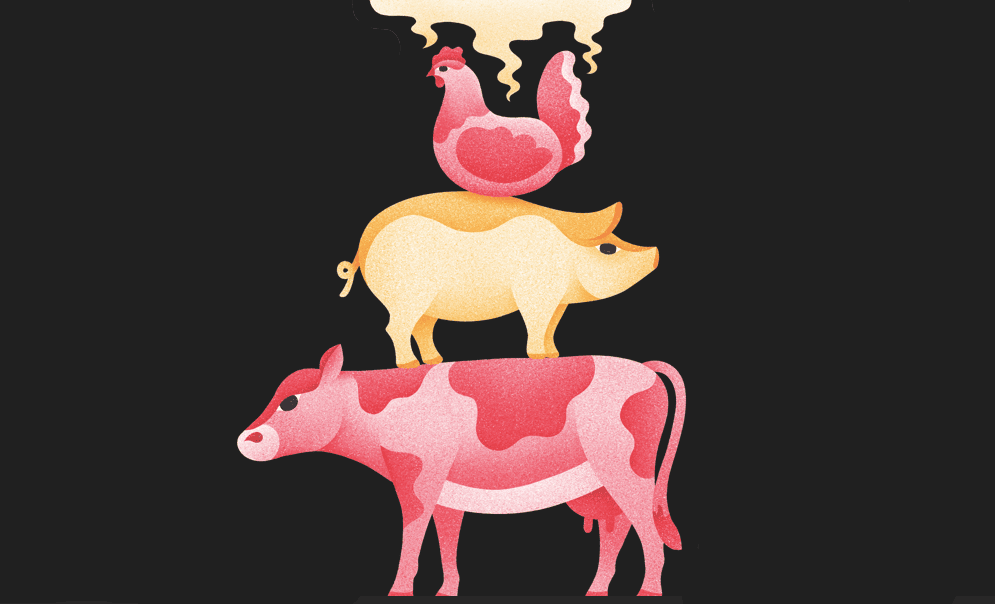 meat farming Corporate Knights