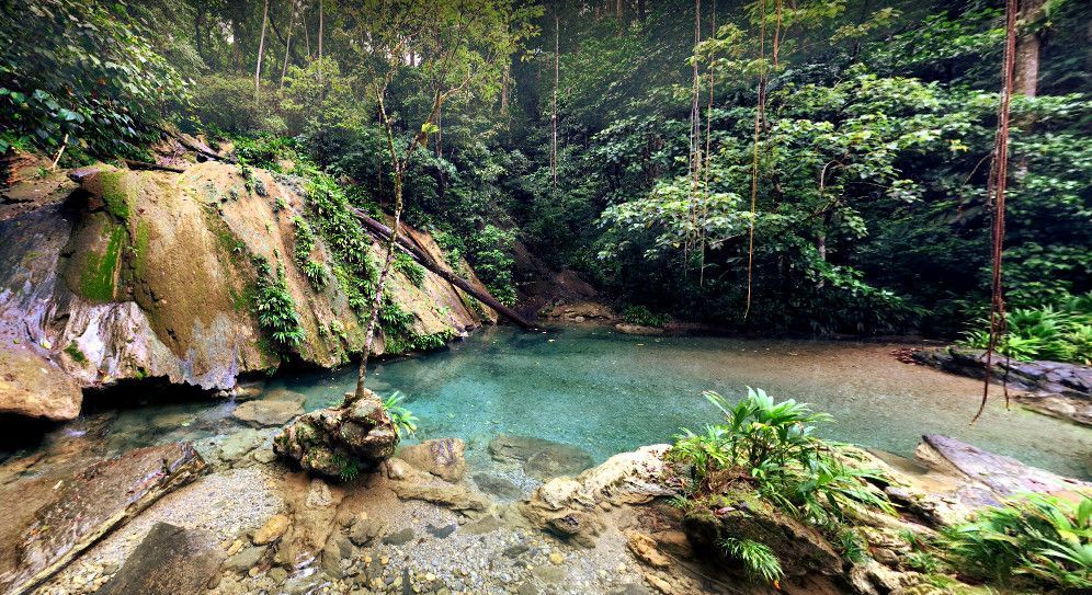 Cascadas Las Escobas Izabal