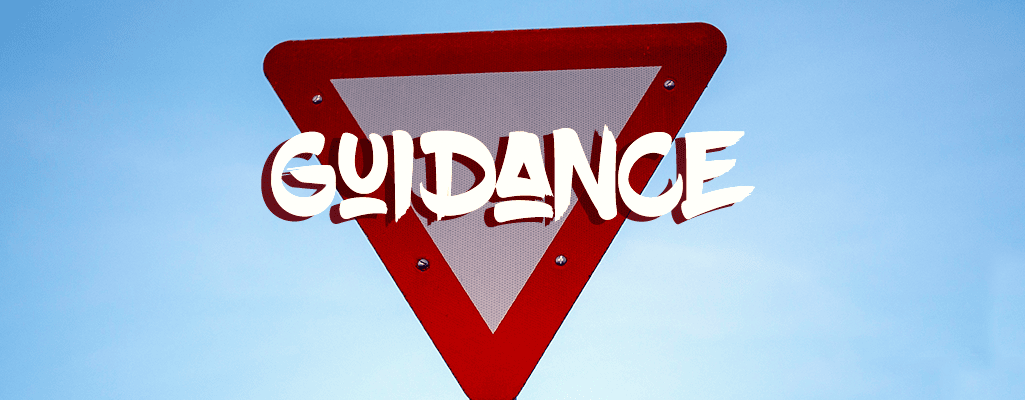 Have You Asked Allah for guidance Today