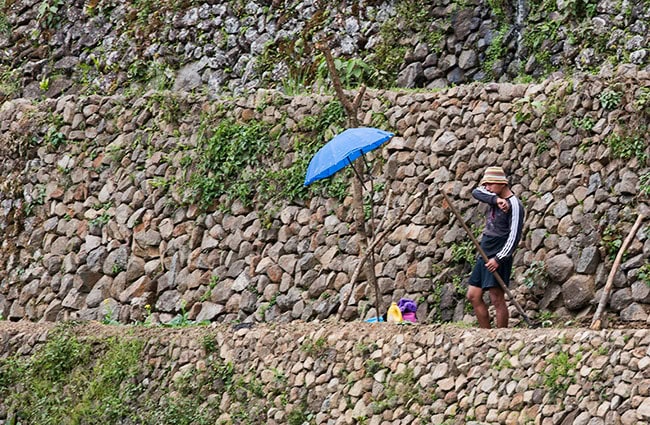 Batad Rice Terraces