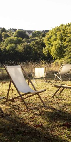 Détente dans le parc