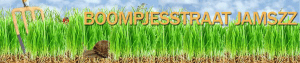 Boompjesstraat Jamszz