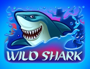 Wild Shark