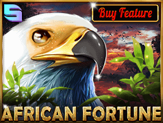 African Fortune