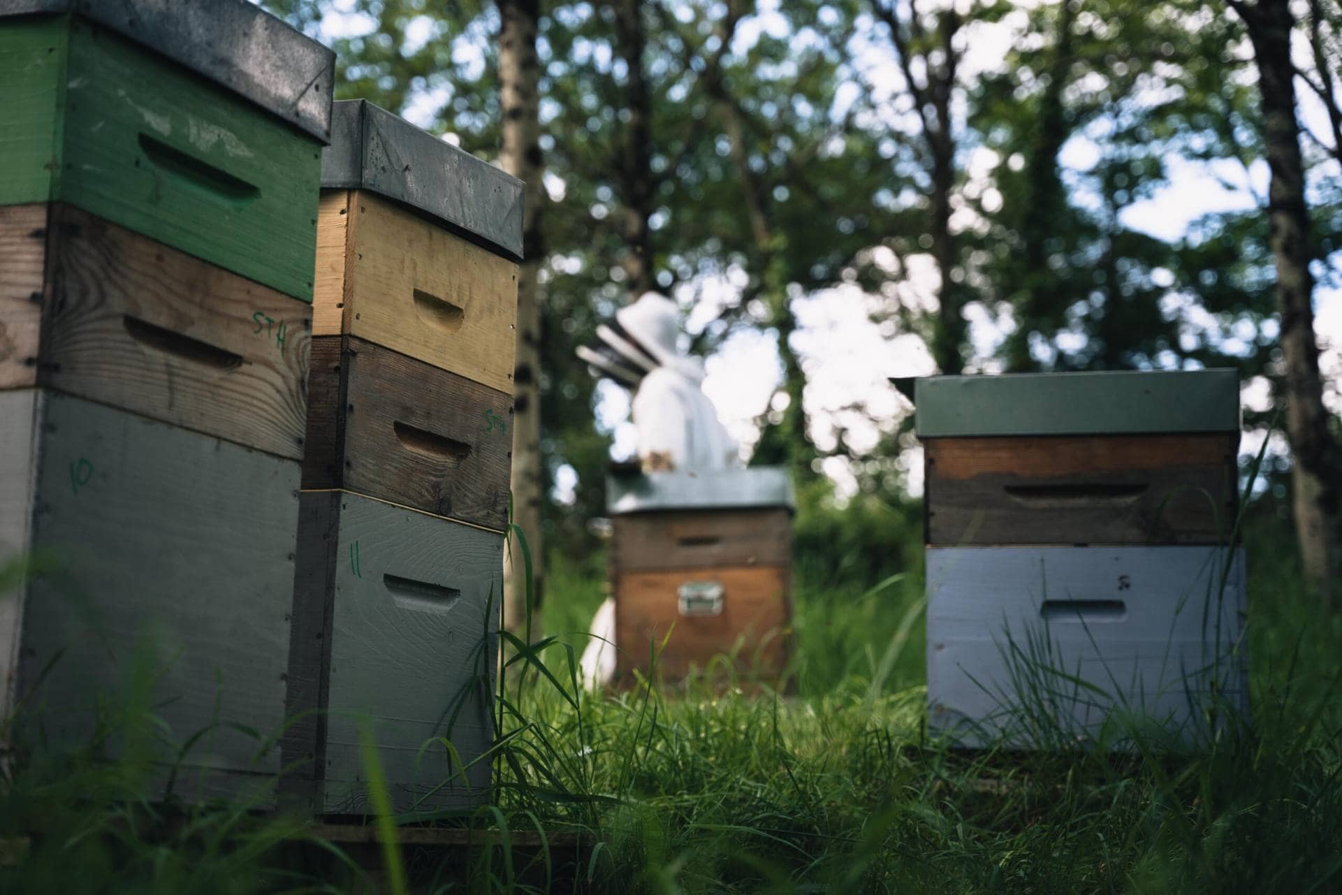 produits de la ruche
