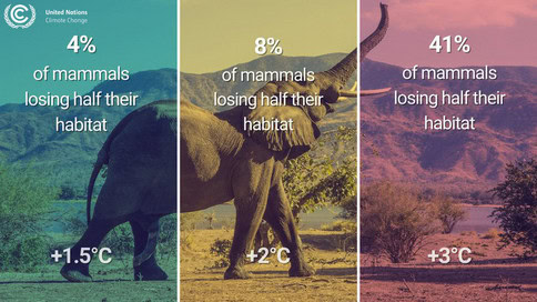 At 1.5 degrees celcius 4% of mammals will lose half their habitat. At 2 degrees 8%, and at 3 degrees 41%.