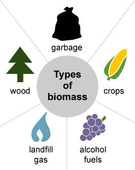 Garbage, crops, alcohol fuels, landfill gas, wood.