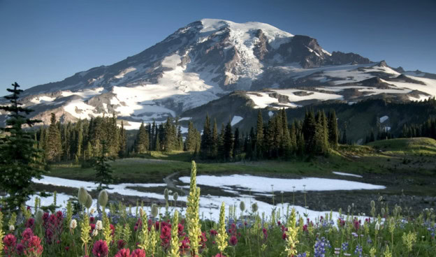 Mount Rainier National Park