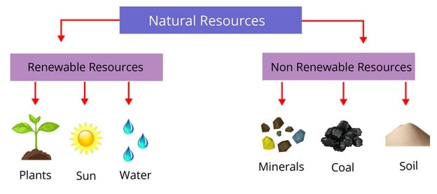 Renewable: plants, sun, water. Non-renewable: minerals, coal, soil.