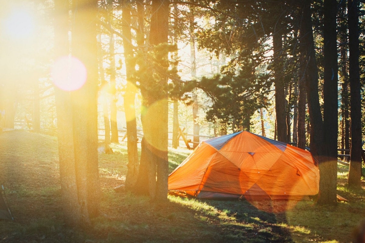 Tent camping in a forest