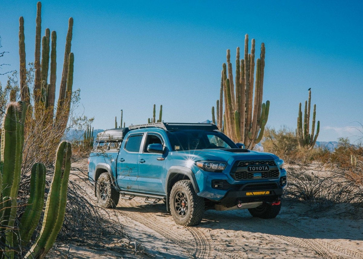 Blue Tacoma by cactuses