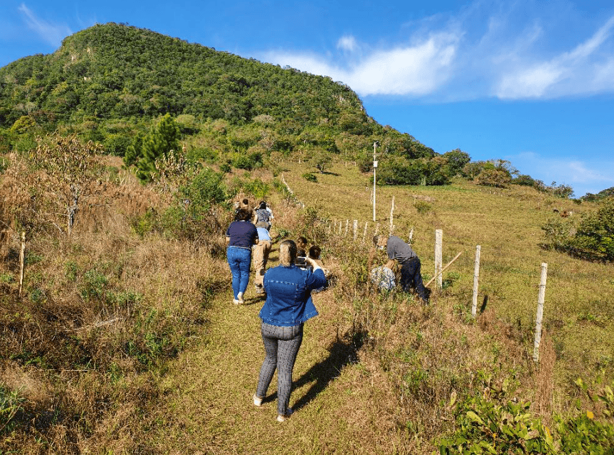 MIRA-SERRA realiza novo plantio no Bosque da Memória, em Ivorá, RS