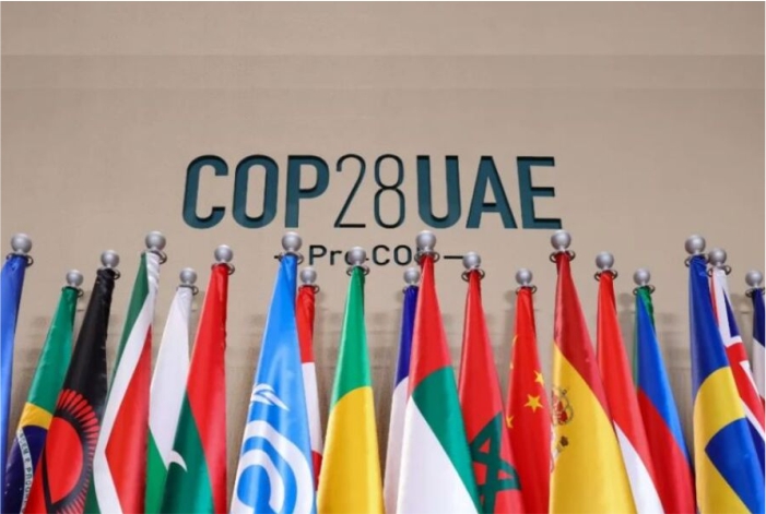 COP 28